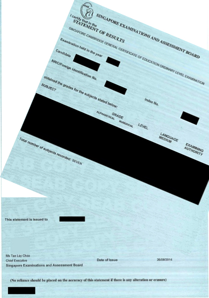 Statement of Results